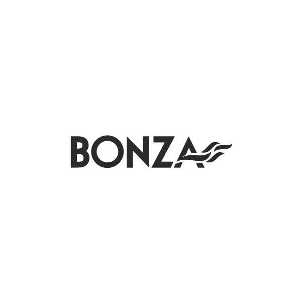 bonza ceramic